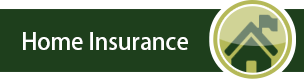 Home Insurance Icon